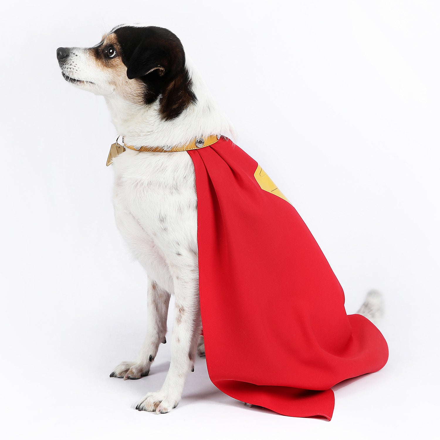 League of Super-Pets Superman Legacy Krypto Dog Collar Cloak