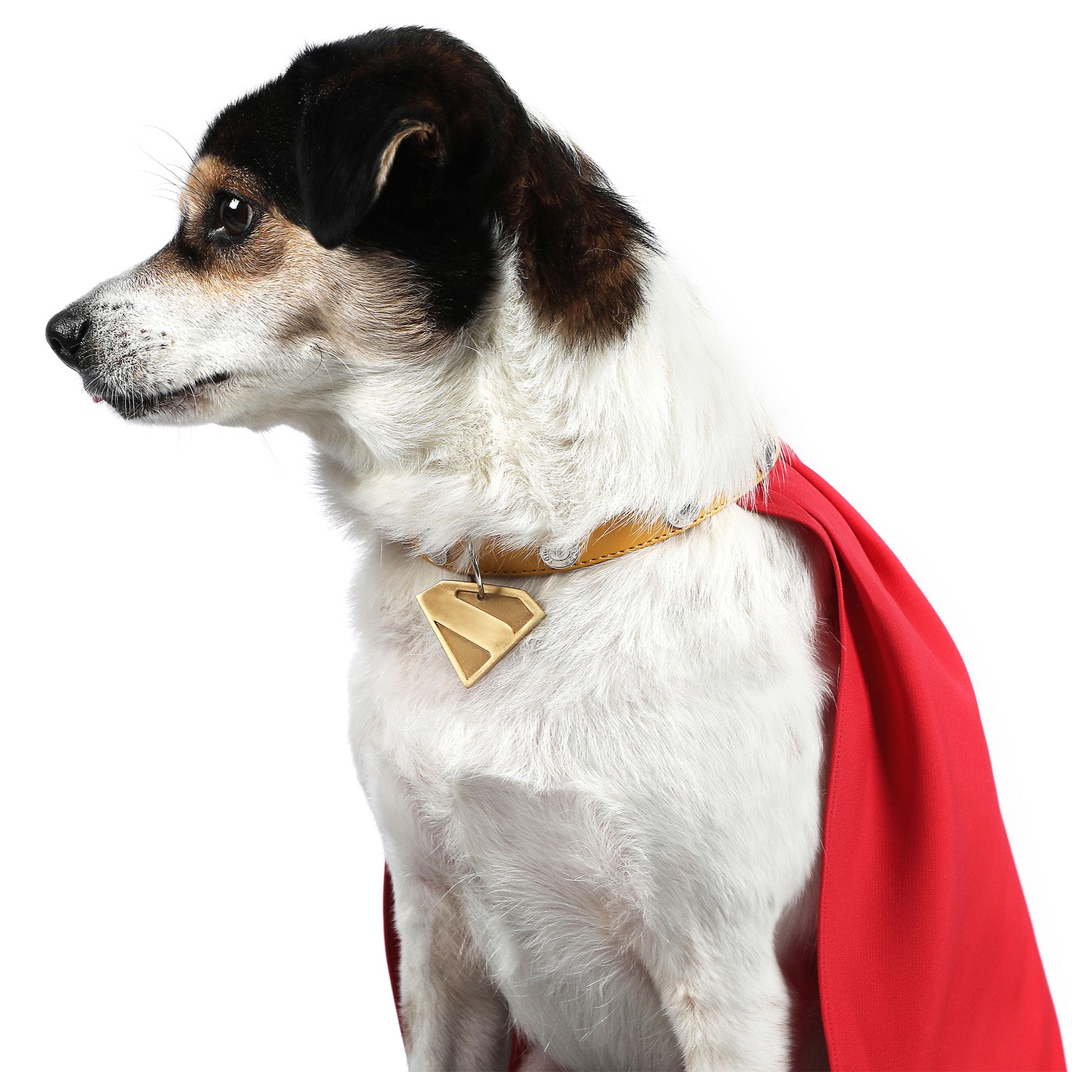 League of Super-Pets Superman Legacy Krypto Dog Collar Cloak
